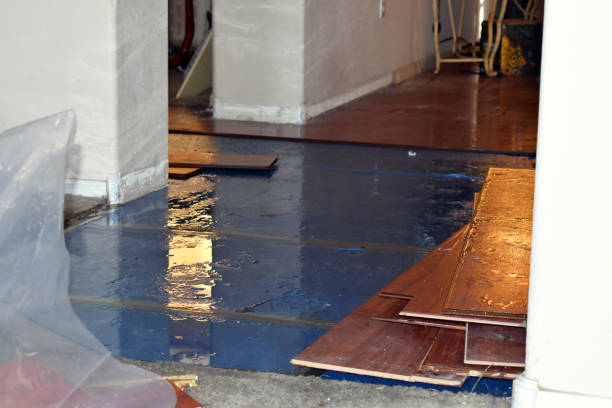 Professional Water Removal technician working in Huntington, NY